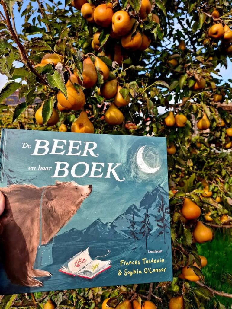 De beer en haar boek