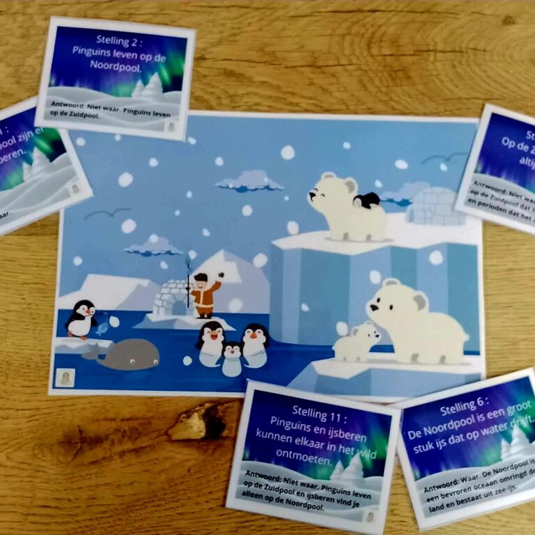 Het raadsel van de Noordpool en de Zuidpool