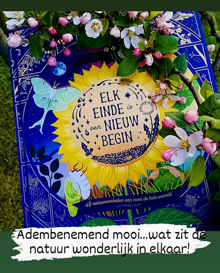 Elk einde is een nieuw begin