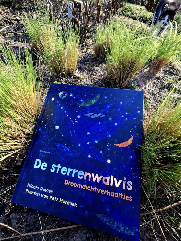 De sterrenwalvis